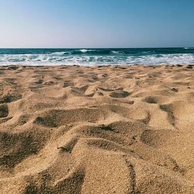 AndresCast99843's profile picture. 