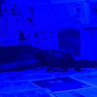 Check out my lastest release MBT by Blue Ivory E
https://t.co/2eZFvFUG7z