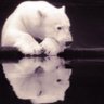 topkekw's profile picture. 
