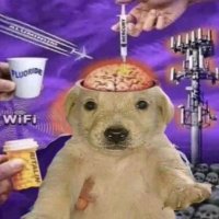 π΄ (@nomadgxn) 's Twitter Profile