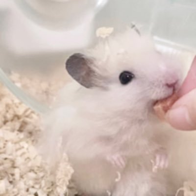 24soiree_0's profile picture. " 毎回これが最後の繰り返し "