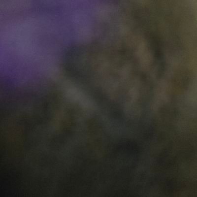 Williamavila77's profile picture. 