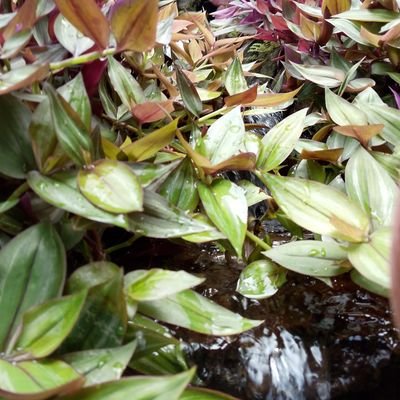 DeMal380's profile picture. 