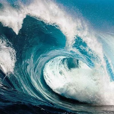 jacfv45's profile picture. World