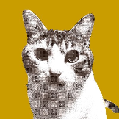 nacchan/webデザイン勉強中🐱 Profile