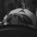 Laura jane 🩷🖤🩷 (@laurajane04) Twitter profile photo Laura jane 🩷🖤🩷 (@laurajane04) Twitter profile photo