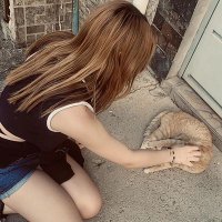 ๐ณ๐๐โฎ (@lizzkatuzzo) 's Twitter Profile