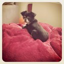 jaime keller - @jkeller16 - Twitter