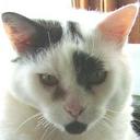 max hodge - @relaximax - Twitter