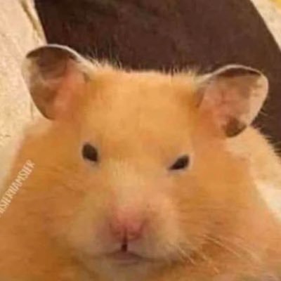 HennerJL's profile picture. Fanático de la tecnología.