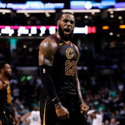 slothoutofwater's profile picture. #LakeShow, Bron the GOAT, @LFC, Djokovic, #bronnyupnext, #LetEmKnow, @Browns, Mo Salah defender