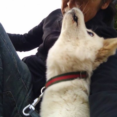 Wefi_User's profile picture. Wefi の発展に貢献したい。