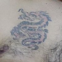 El Drag贸n 馃悏 (@elrompepasivos) 's Twitter Profile