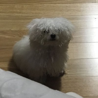 leehosi__'s profile picture. 