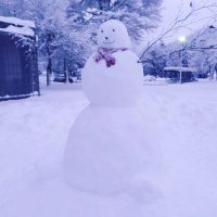 arief (@arieph) 's Twitter Profile