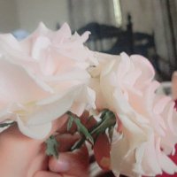 Strong_Girl (@strong_006) 's Twitter Profile