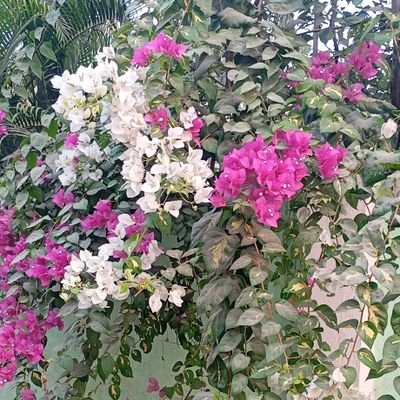 Sjunior07974577's profile picture. Do what you love