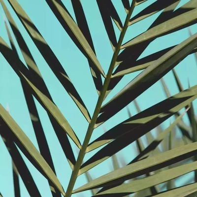 Tezgel238083's profile picture. LabradorLabs is a Web 3.0 company redefining trust by developing high-quality Smart Contracts.