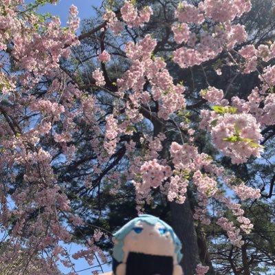 ぬいちゃん用アカウント！成人済(20⬆️)          無言フォロー失礼します(o_ _)o