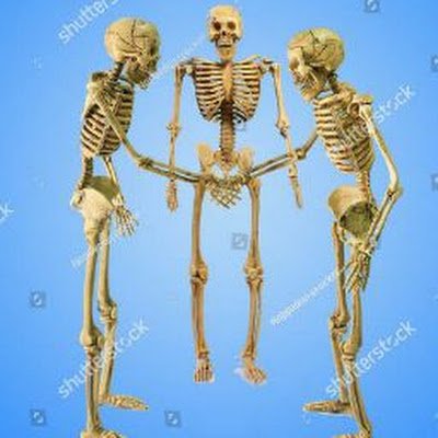 traficalthe's profile picture. 