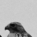 j_tfgt's profile picture. 