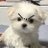 BNyRoZYQh0ucjTY's profile image
