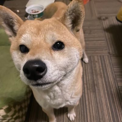 cB5k5r0RW490387's profile picture. 
