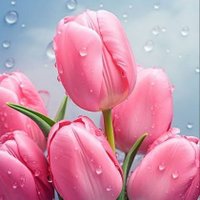 Tulip🦋🌷 (@ntiwari998) 's Twitter Profile