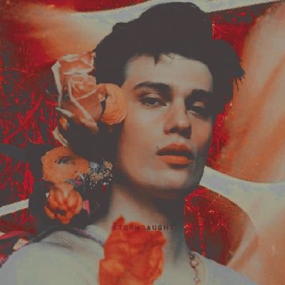 ͶICHOL∀S LECTEЯ 🫀 Profile