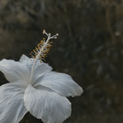 S_R__R_A_M_J_I's profile picture. ⏳️