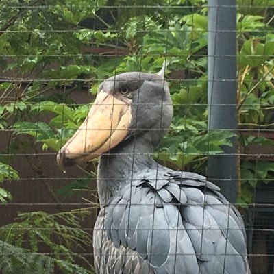 anone__396's profile picture. その辺の主婦。３人の可愛い子達。有益な事は全然無い。好きなようにあれもこれも呟くと思う。