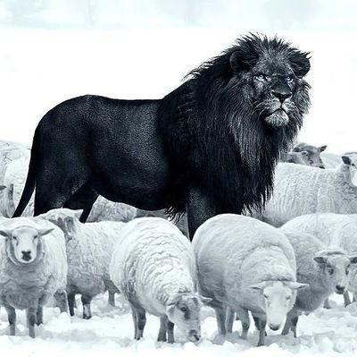 jwoffform's profile picture. 