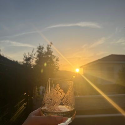 cansuyuu997's profile picture. 