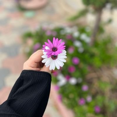 La vie est belle ❤️