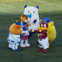 ゆきぞう⚾️9/13 東京ドーム (@kilakila_uuuni) 's Twitter Profile Photo ゆきぞう⚾️9/13 東京ドーム (@kilakila_uuuni) 's Twitter Profile Photo
