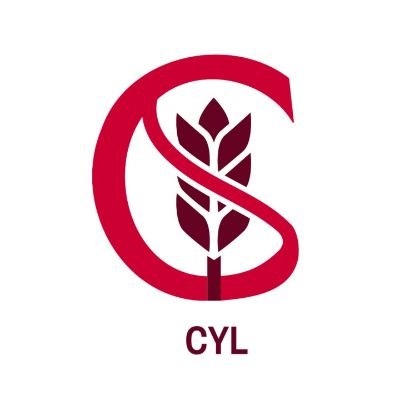 Entidad sin ánimo de lucro creada en 1998. Trabajamos para mejorar la calidad de vida del colectivo #celíaco en #CastillayLeón
▶️Creadores de @celichef 👨🍳