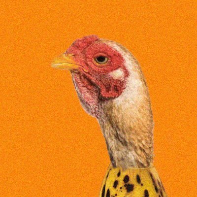 ChickenBanana 🐔 🍌 ChickenBanana 🐔 🍌 ChickenBanana 🐔 🍌 FZRh6uAar3gEJb53ruHNjHibCPqiGHghfGiSRVeFpump