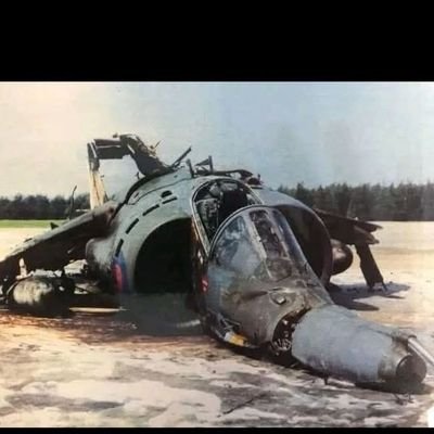 JhatkaDoct48762's profile picture. 