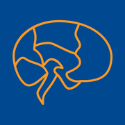betta brain training (@bettabraintrain) 's Twitter Profile