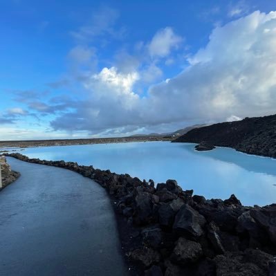 onlinekokoro1's profile picture. 株の軌跡