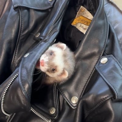 Djenty4kuza's profile picture. 