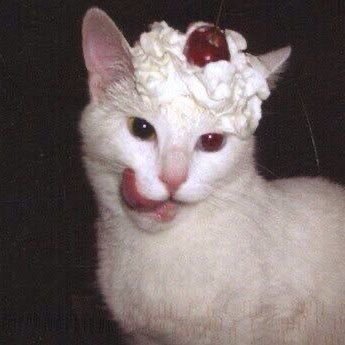 76D2ljXeZON9wY's profile picture. 