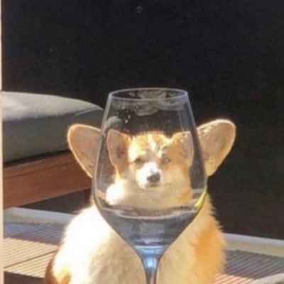 rocket3131's profile picture. 