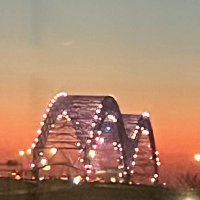 Dr. Dolphin 🇺🇸 (@multan4735) 's Twitter Profile