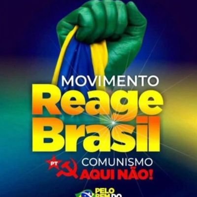 Thank you Mr. Elon Musk, for buying this wonderful platform called X. Thanks to you, our Brazil did not become a communist dictatorship.
