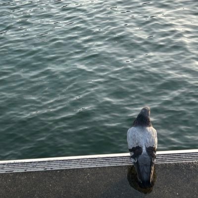 TsukuShe_Mioh's profile picture. 土筆三青（つくしみお）と名乗っています。 京都で演劇をやりたい大学生 よんでください/劇団「次回作」/BU#29泳蝉舎