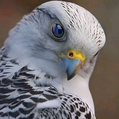 Ana000099999's profile picture. 