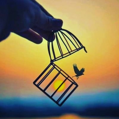 MyMemories786's profile picture. 