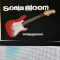 SonicBloomFestival (@sonicbloomfest) 's Twitter Profile