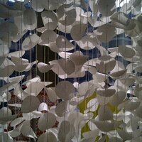 Paul (@bigcitypaul) 's Twitter Profile Photo